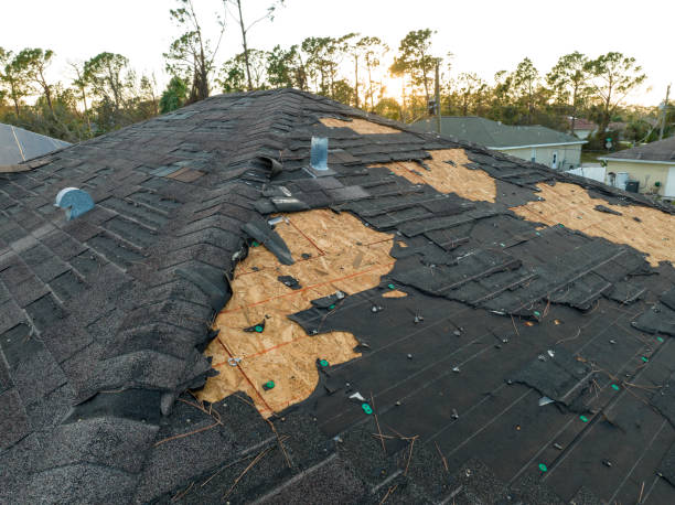 Best Solar Panel Roofing Installation  in Menard, TX