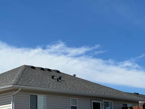 Best Flat Roofing  in Menard, TX
